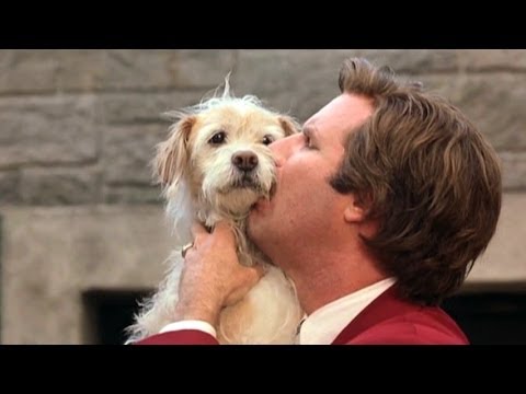 Top 10 Live Action Movie Dogs