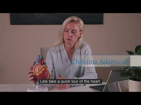 #cardiology #cardiología #womeninscience Basic anatomy of the heart