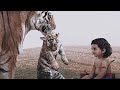 Pistha Ayyappan Whatsapp Status Whatsapp Status Tamil Status Creation