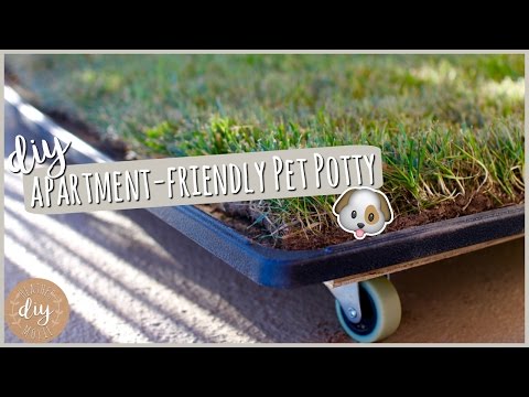 download lagu mp3 mp4 Dog Turf For Balconies, download lagu Dog Turf For Balconies gratis, unduh video klip Dog Turf For Balconies