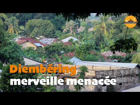 Diembéring, a threatened marvel