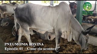Miniatura do vídeo
