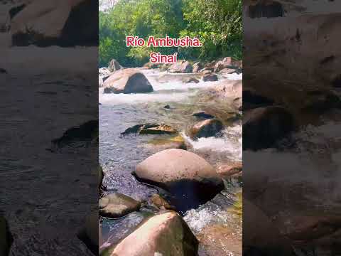 Río Ambusha. En Sinaí -Morona Santiago...