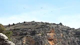 preview picture of video 'Segovia : Parque Natural Hoces del Duratón'