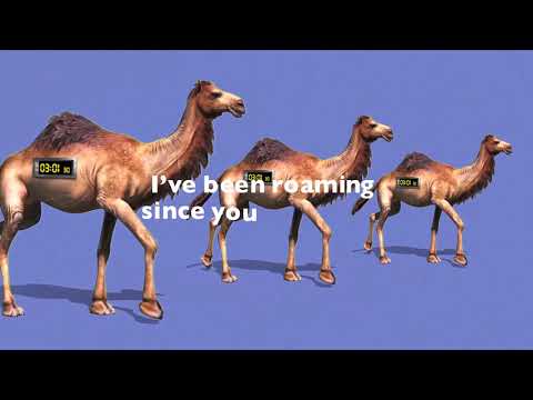 AmPm / 3AM feat.Haneri(Lyric Video)