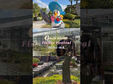 제19회 거제섬꽃축제 D-4