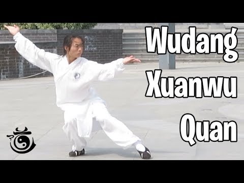 Wudang Kung Fu - Xuan Wu Quan 武当玄武拳