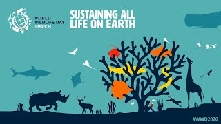 3 mars : journée mondiale de la vie sauvage