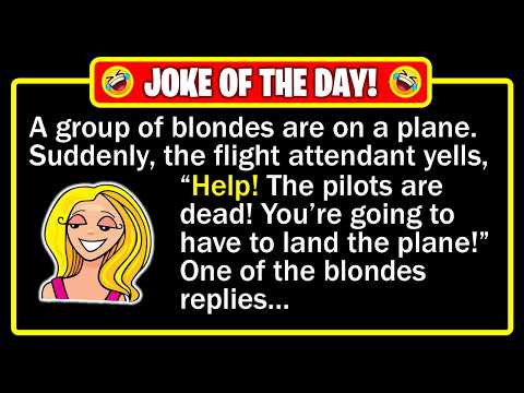 🤣 BEST JOKE OF THE DAY! - Two blondes pilot a plane, until this happens... | Funny Dad Jokes