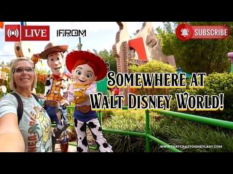 Live webcam of That Crazy Disney Lady