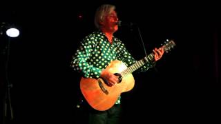 Robyn Hitchcock-Madonna Of The Wasps