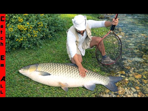 We FOUND the GIANT BERRY MUNCHIN BEAST FISH Stacked Under a YELLOW BERRY TREE! **Secret Bait**
