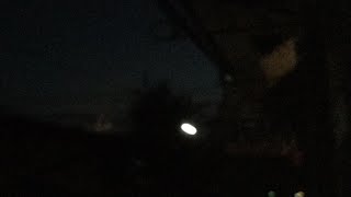 花火だーーーー