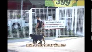 video guardog na mídia