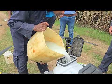 Sugarcane Fertilizer Drone Loading and Application Demo / 사탕수수 전용 비료의 드론 주입·살포 실증 영상입니다. — YouTube 영상 썸네일