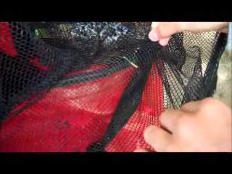 DELIVERANCE 3  - CANOE TRIP ON THE RIVER SEVERN PART 10