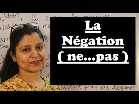 La Négation ( ne...pas ) ! Negation in French...