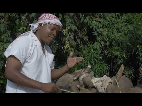 chiddymentary - matanga  (official music video )