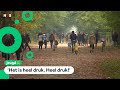 Waarschuwing voor drukte in natuurgebieden