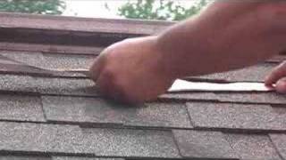how to prevent roof moss and algae