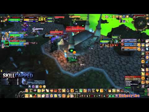Holy Paladin Arenas - WLP with Hoodrych and Nadagast vs. PHD and LSD