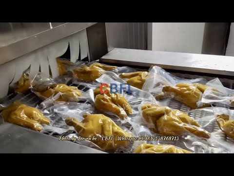 CBFI 1.5 tons Double Spiral Freezer for chicken food plant IQF food proceessing