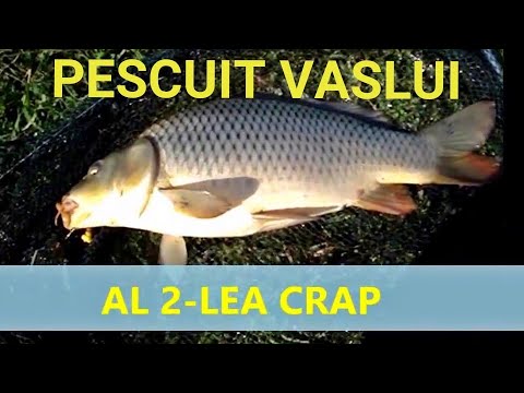 Pescuit la CRAP baraj Manjesti Vaslui partida 24 ore
