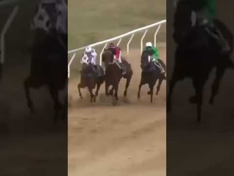 JOCKEY SAVES FELLOW RIDER FROM FALLING MID-RACE 🤯 | Footage courtesy of Roma Turf Club