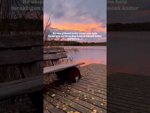 #shorts #ayrılıksözleri #duygusal #günbatımı #anlamlısözler #keşfet #hüzün #beniöneçıkart #viral