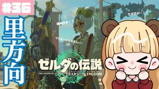 ゾーラの里を目指してラネール地方を目指します。#36【ゼルダの伝説 ティアーズ オブ ザ キングダム】