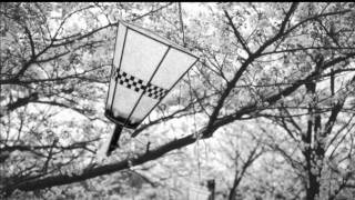 Take Your Time   Bee Cradle Orchestra Aloe Blacc