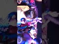 Mr Royal Group Dance Amkhera