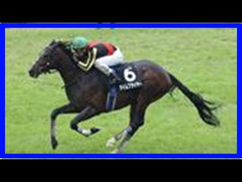 【ホープフルＳ】タイムフライヤーが４．７倍で１番人気／１３：００時点