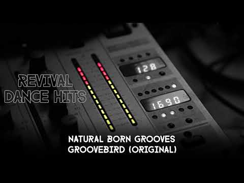 Natural Born Grooves - Groovebird (Original) [HQ]
