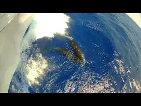 EdenSport - Marsa Alam część 2