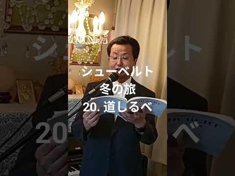 経営学科 シューベルト「20. 道しるべ」冬の旅  #日本語カバー  #織田幸男 (テノール) Der Wegweiser #歌ってみた