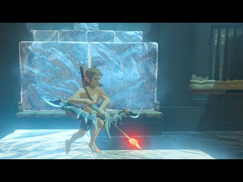 Die Elemente werden Link besiegen / Random Botw (49)