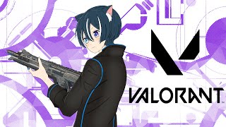 【VALOLANT】新シーズンを遊ぼう！！【参加型】【蒼猫レイ/Vtuber】