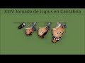 II JORNADA VIRTUAL DE LUPUS, ALDEC Cantabria