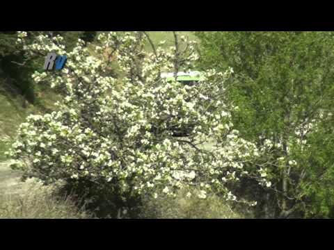 2012 Ege Rallisi / Volkan Işık - Vedat Bostancı / Skoda Fabia S2000