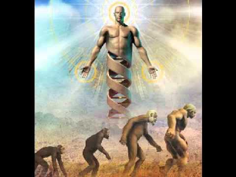 Sons da Floresta - RisoGanja