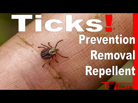 How to Prevent and Remove Ticks!