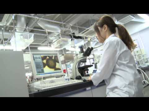 応用化学科 高分子材料化学研究室