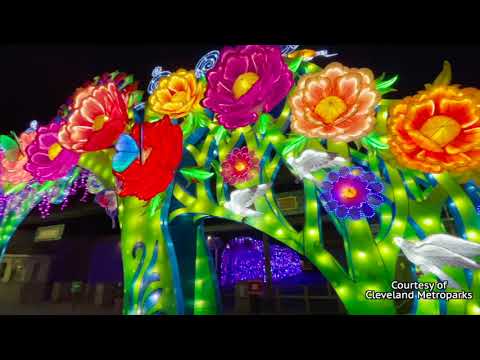 Tour the Asian Lantern Festival at Cleveland Metroparks Zoo