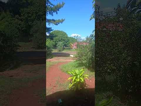 hermoso sábado😍#itacaruare#misiones