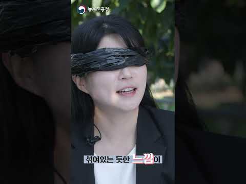 단감의 새바람 감풍