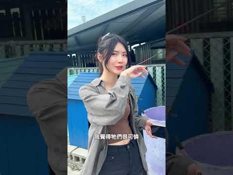 Yvonne-網紅與善的距離 - 第2集《貓狗知道》投票區