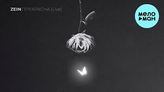 ZEIN - Прекрасна (Live, Single 2024)