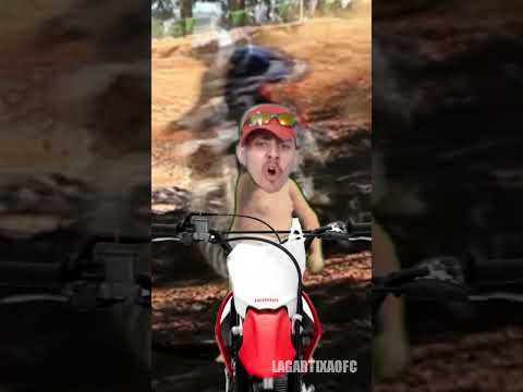 Os Coyotes de SP🎶