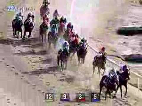 2008 KRA Cup Mile (G3) (04.06, 8f)
